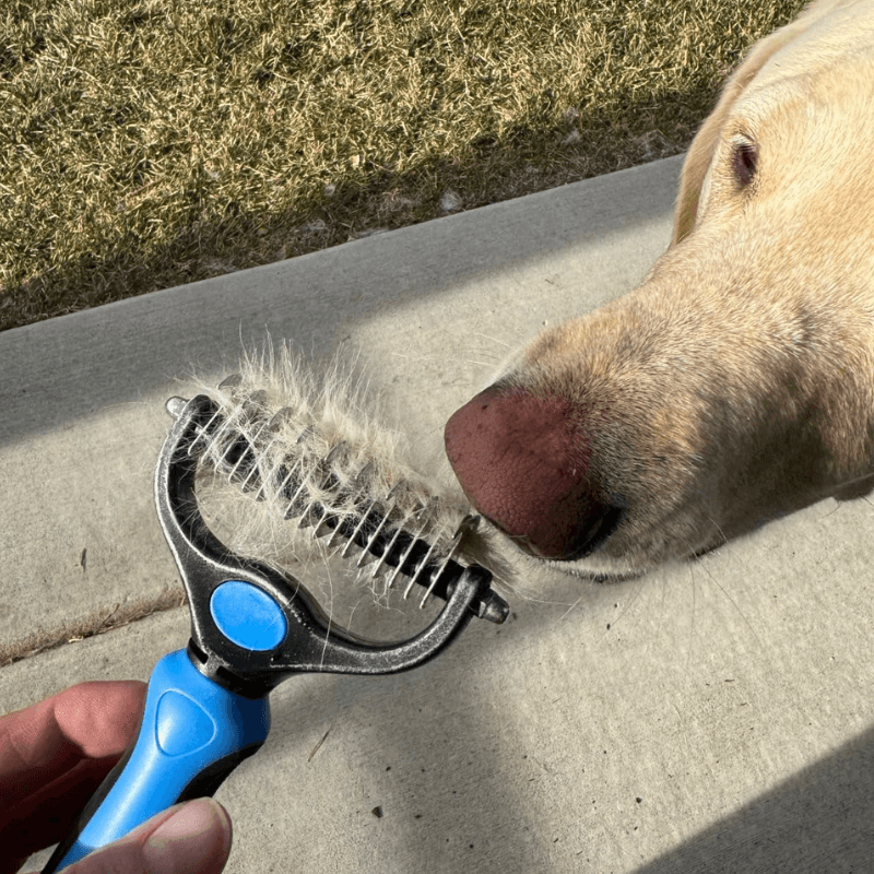 mypawz™ DeFur Buddy