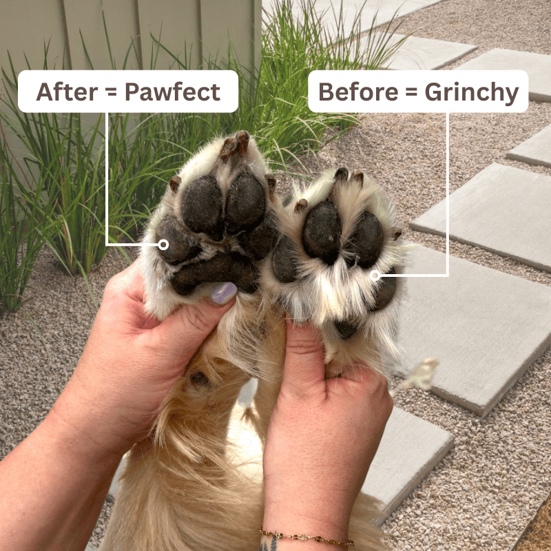 mypawz™ Pawfect Trimmer