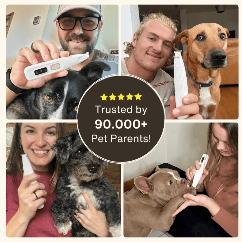 mypawz™ Pawfect Trimmer